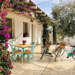  Apartment Domus Deiana